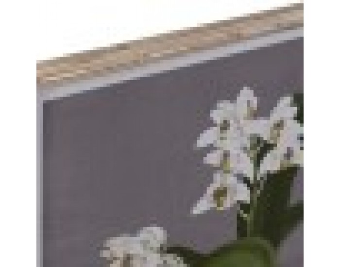 Картина DKD Home Decor Ела Кристал Lilled (50 x 60 x 2,8 cm) (6 броя)