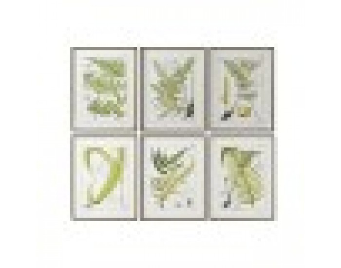 Картина Home ESPRIT Модерен орлова папрат 50 x 2,5 x 65 cm (6 броя)