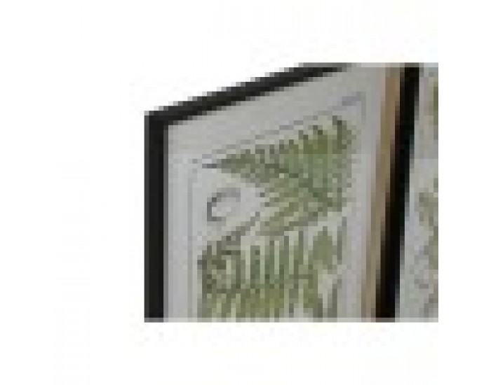 Картина Home ESPRIT Модерен орлова папрат 50 x 2,5 x 65 cm (6 броя)