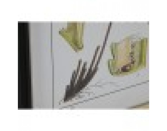 Картина Home ESPRIT Модерен орлова папрат 50 x 2,5 x 65 cm (6 броя)