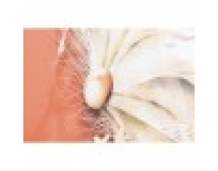 Картина DKD Home Decor Ваза (80 x 3 x 160 cm) (2 броя)