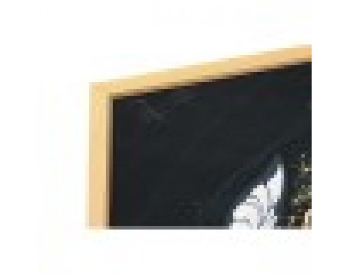 Картина DKD Home Decor Пеперуди (180 x 3 x 60 cm) (2 броя)