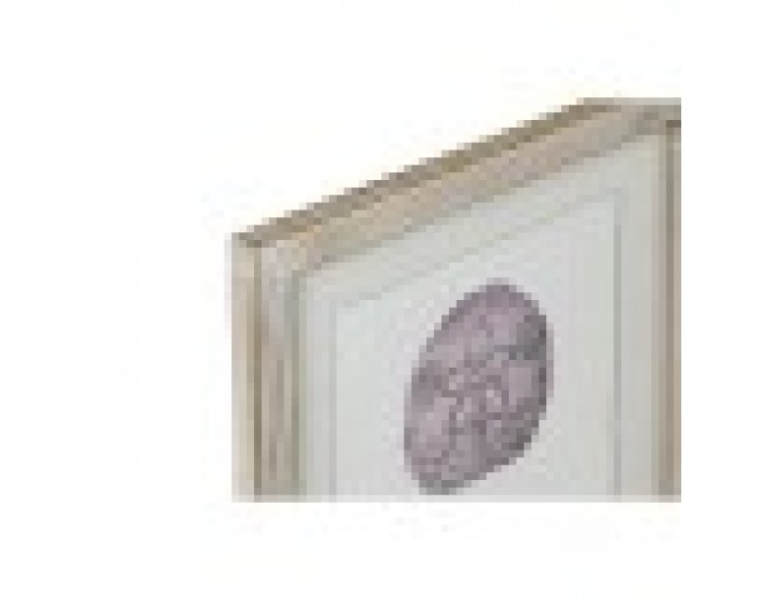 Картина Home ESPRIT Корал 35 x 2 x 45 cm (9 броя)