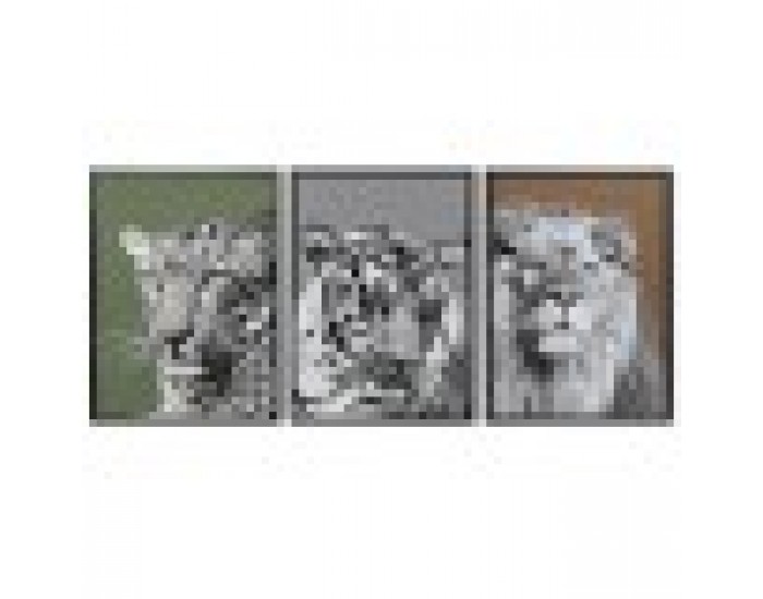 Картина DKD Home Decor Колониален Джунгла (67 x 3 x 93 cm) (3 броя)