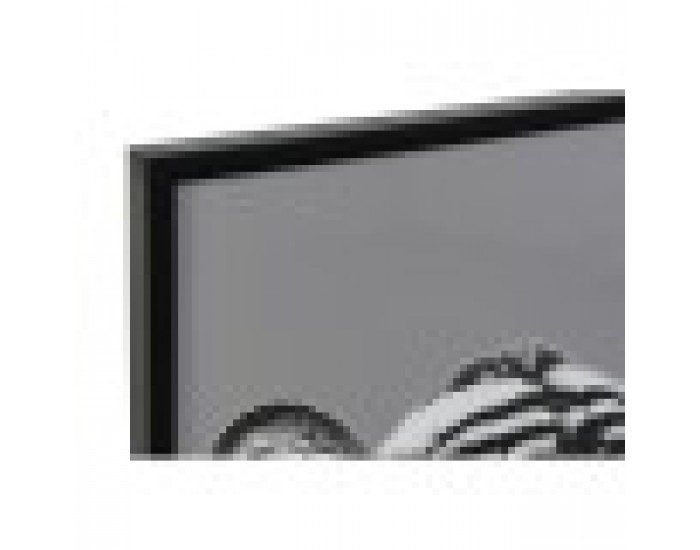 Картина DKD Home Decor Колониален Джунгла (67 x 3 x 93 cm) (3 броя)