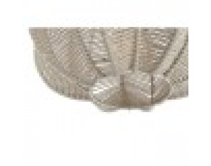 Полилей Home ESPRIT Бежов Въже 50 W 40 x 40 x 35 cm Полилей Home ESPRIT Бежов Въже 50 W 40 x 40 x 35 cm
