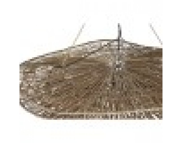 Полилей Home ESPRIT 50 W 120 x 82 x 32 cm Полилей Home ESPRIT 50 W 120 x 82 x 32 cm