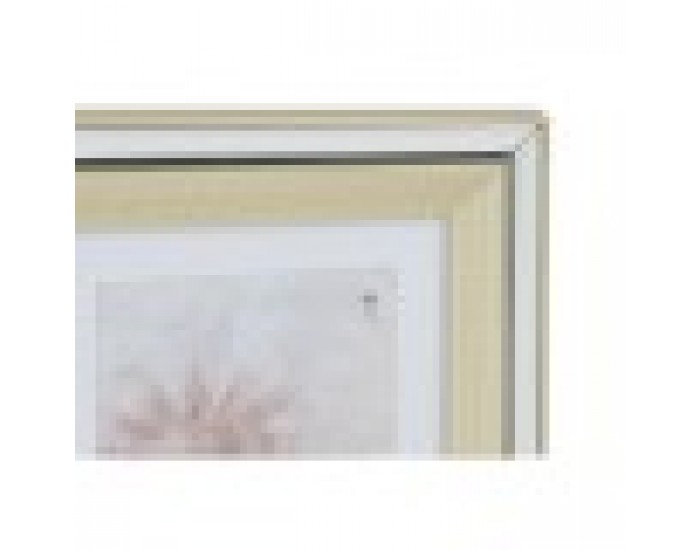 Рамка за снимки DKD Home Decor Сребрист Златен Традиционен (47 x 2 x 40 cm) (2 броя)