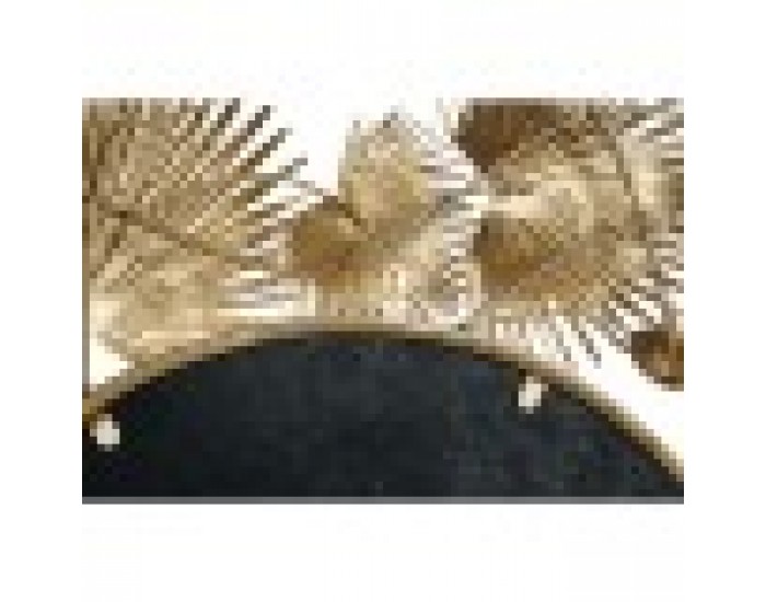 Стенно огледало DKD Home Decor 93 x 7 x 93 cm Кристал Златен Метал Бял Лист на растение