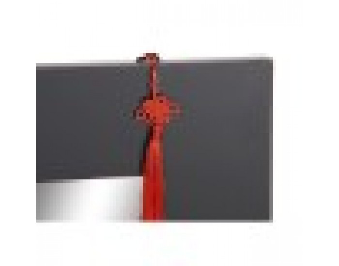 Стенно огледало DKD Home Decor Син Червен Ела Дървен MDF (70 x 2 x 90 cm)