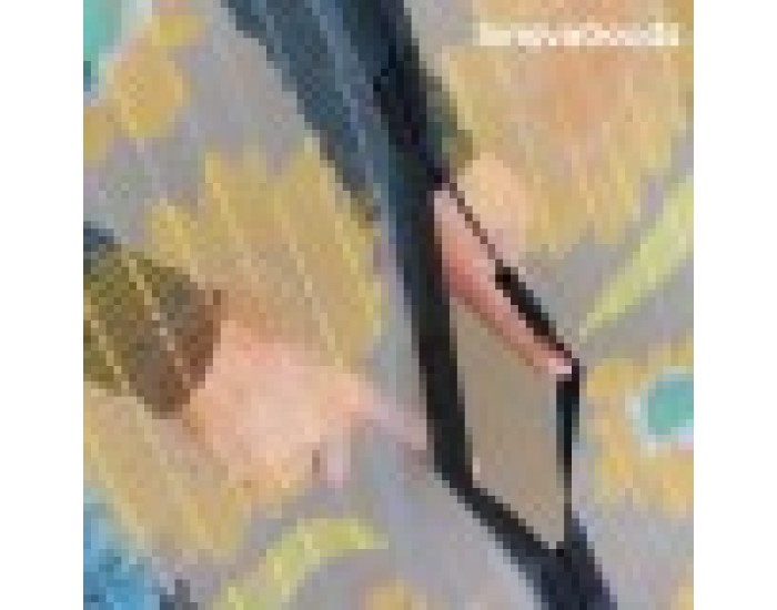 Завеса Против Насекоми InnovaGoods - Бял