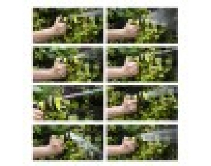 Пистолет за Поливане Ferrestock Зелен