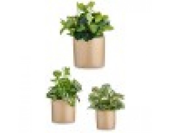 Комплект Саксии за цветя 3 Части Ø 14 cm Ø 22 cm Ø 17 cm Цилиндър Бежов