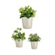 Комплект Саксии за цветя Ø 14 cm Ø 22 cm Ø 17 cm Cónica 3 Части Сив Комплект Саксии за цветя Ø 14 cm Ø 22 cm Ø 17 cm Cónica 3 Части Сив