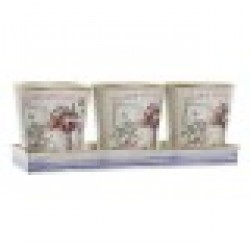 Комплект Саксии за цветя DKD Home Decor Розов Златен PVC (38 x 13 x 14 cm) (3 Части) - Стоки за Градинарство, Саксии, Системи за поливане