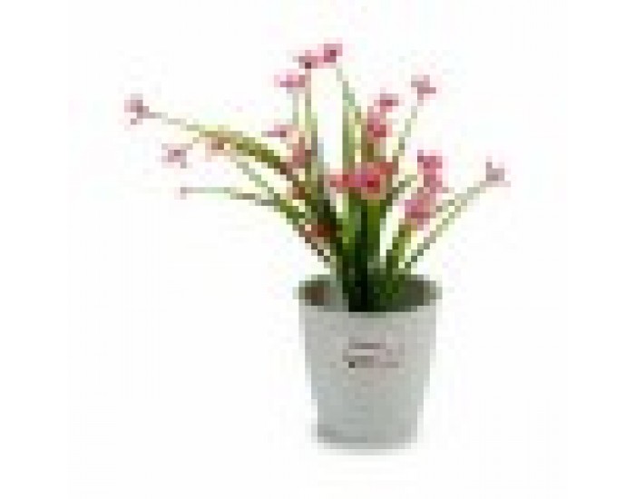 Саксия Stefanplast Бял Пластмаса 14 x 13 x 14 cm (12 броя) Саксия Stefanplast Бял Пластмаса 14 x 13 x 14 cm (12 броя)