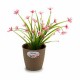 Саксия Stefanplast Кафяв Пластмаса 14 x 13 x 14 cm (12 броя) Саксия Stefanplast Кафяв Пластмаса 14 x 13 x 14 cm (12 броя)