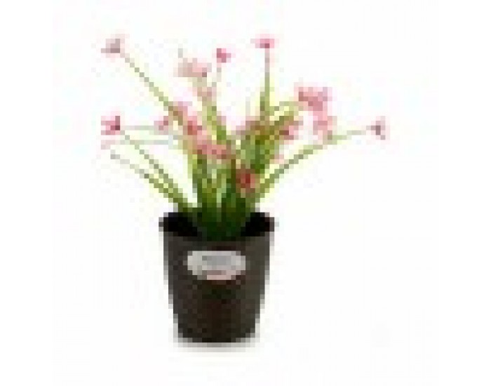 Саксия Stefanplast Пластмаса 14 x 13 x 14 cm (12 броя) Саксия Stefanplast Пластмаса 14 x 13 x 14 cm (12 броя)