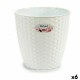 Саксия Stefanplast Бял Пластмаса 24 x 22,5 x 24 cm (6 броя) Саксия Stefanplast Бял Пластмаса 24 x 22,5 x 24 cm (6 броя)