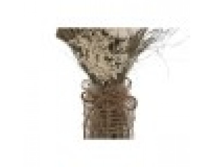 Букет Home ESPRIT Многоцветен Естествен Кристал Сухо цвете 20 x 10 x 50 cm (3 броя) Букет Home ESPRIT Многоцветен Естествен Кристал Сухо цвете 20 x 10 x 50 cm (3 броя)