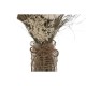 Букет Home ESPRIT Многоцветен Естествен Кристал Сухо цвете 20 x 10 x 50 cm (3 броя) Букет Home ESPRIT Многоцветен Естествен Кристал Сухо цвете 20 x 10 x 50 cm (3 броя)