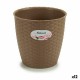 Саксия Stefanplast Кафяв Пластмаса 19 x 17,5 x 19 cm (12 броя) Саксия Stefanplast Кафяв Пластмаса 19 x 17,5 x 19 cm (12 броя)
