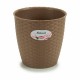 Саксия Stefanplast Кафяв Пластмаса 19 x 17,5 x 19 cm (12 броя) Саксия Stefanplast Кафяв Пластмаса 19 x 17,5 x 19 cm (12 броя)