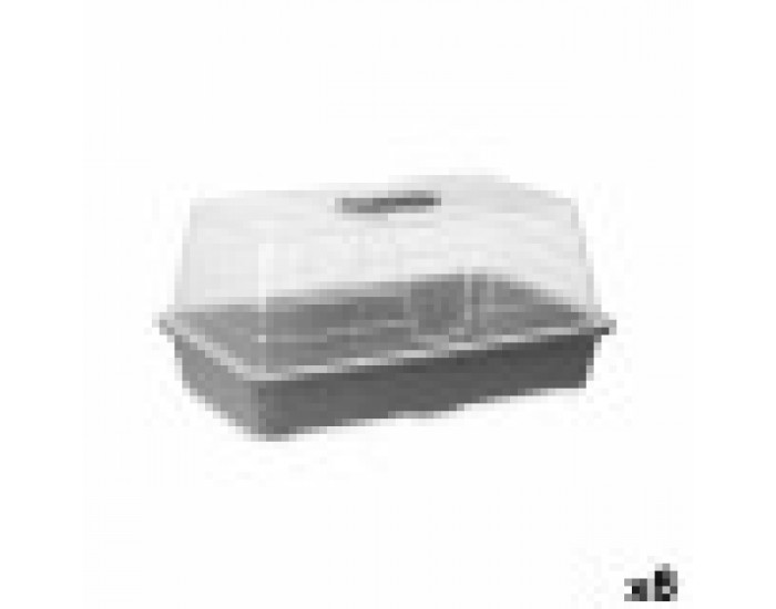 Парник Сив Прозрачен Пластмаса 38,4 x 17,5 x 24,7 cm (8 броя)