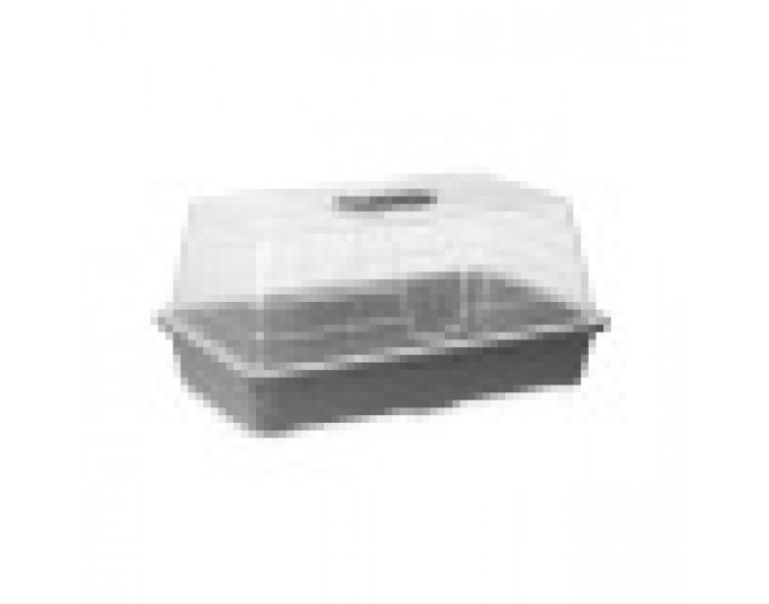 Парник Сив Прозрачен Пластмаса 38,4 x 17,5 x 24,7 cm (8 броя)