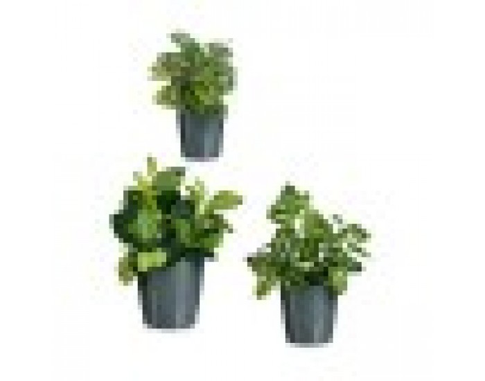 Комплект Саксии за цветя Антрацит Глина (6 броя)