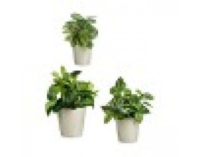 Комплект Саксии за цветя Сив Глина (6 броя)