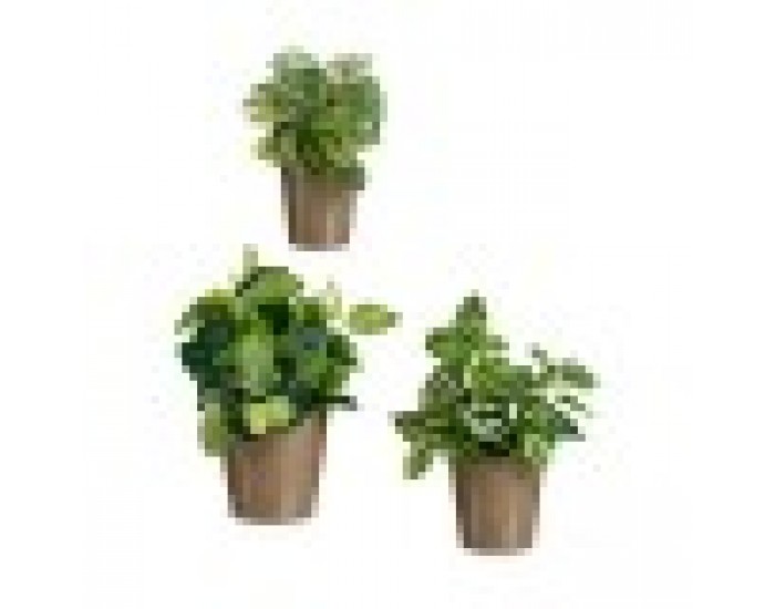 Комплект Саксии за цветя Тъмнокафяв Глина (6 броя)