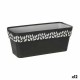 Самополиваща Сеялка Stefanplast Cloe Антрацит Пластмаса 13,3 x 12,3 x 29,3 cm (12 броя) Самополиваща Сеялка Stefanplast Cloe Антрацит Пластмаса 13,3 x 12,3 x 29,3 cm (12 броя)