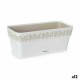 Самополиваща Сеялка Stefanplast Gaia Бял Пластмаса 13,3 x 12,3 x 29,3 cm (12 броя) Самополиваща Сеялка Stefanplast Gaia Бял Пластмаса 13,3 x 12,3 x 29,3 cm (12 броя)