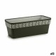 Самополиваща Сеялка Stefanplast Orfeo Антрацит Пластмаса 18 x 17 x 49,5 cm (12 броя) Самополиваща Сеялка Stefanplast Orfeo Антрацит Пластмаса 18 x 17 x 49,5 cm (12 броя)