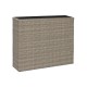Саксия Home ESPRIT полипропилен Pатан 83 x 22 x 65 cm Саксия Home ESPRIT полипропилен Pатан 83 x 22 x 65 cm