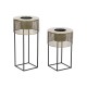 Комплект саксии DKD Home Decor 33 x 33 x 67 cm Черен Златен Метал Loft Комплект саксии DKD Home Decor 33 x 33 x 67 cm Черен Златен Метал Loft