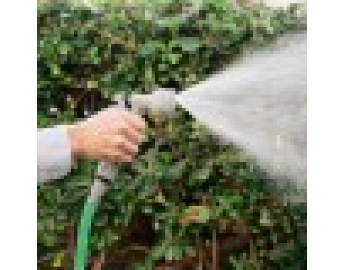 Разтегателен Градински Маркуч Hoostend InnovaGoods 15 m