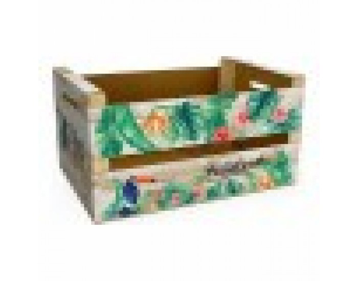 Кутия за Съхранение Confortime Paradise (3 броя) (44 x 24,5 x 23 cm)