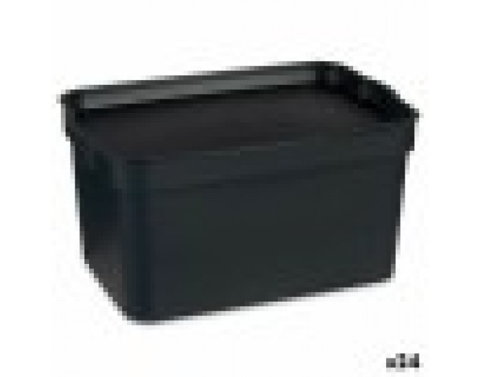 Кутия за Съхранение с Капак Антрацит Пластмаса 2,3 L 13,5 x 11 x 20 cm (24 броя)