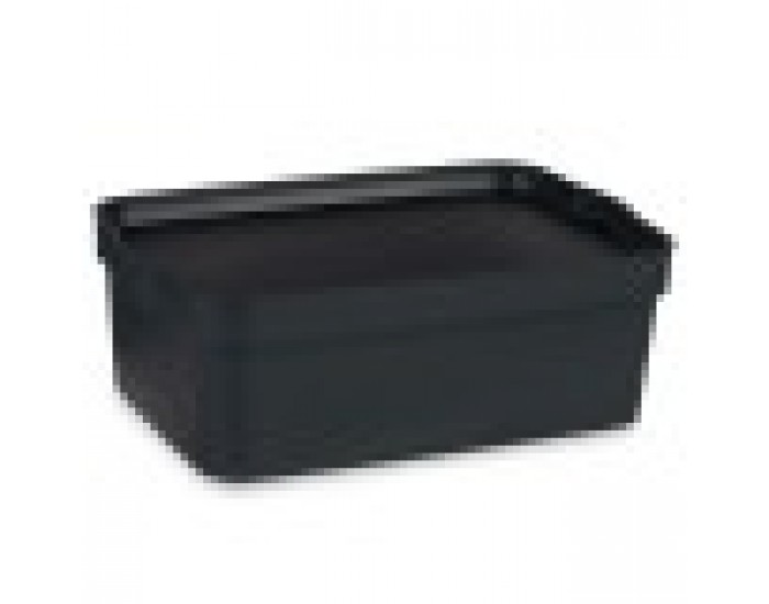 Кутия за Съхранение с Капак Антрацит Пластмаса 6 L 21 x 11 x 32 cm (12 броя)