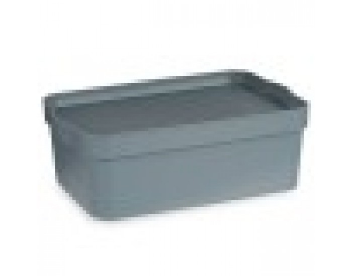 Кутия за Съхранение с Капак Сив Пластмаса 6 L (21,5 x 11 x 32 cm) (12 броя)