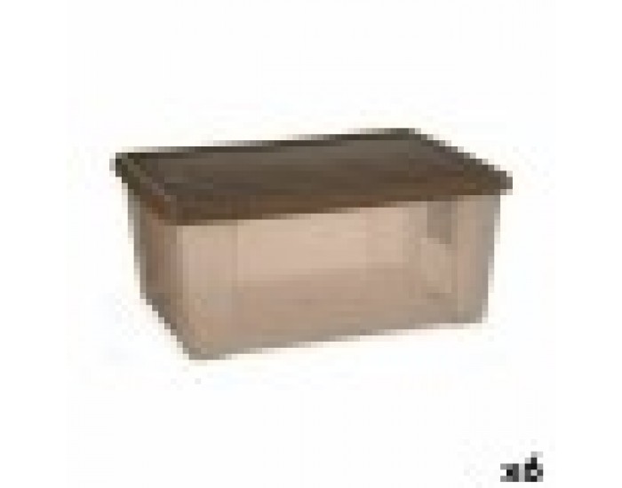 Кутия за Съхранение с Капак Stefanplast Elegance Кафяв Пластмаса 29 x 17 x 39 cm (6 броя)