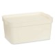 Кутия за Съхранение с Капак Сметана Пластмаса 7,5 L 21,5 x 14,5 x 32 cm (12 броя) Кутия за Съхранение с Капак Сметана Пластмаса 7,5 L 21,5 x 14,5 x 32 cm (12 броя)