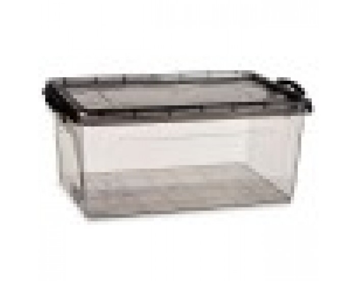 Кутия за Съхранение с Капак Антрацит Пластмаса 22 L 32 x 20,5 x 50 cm (6 броя)