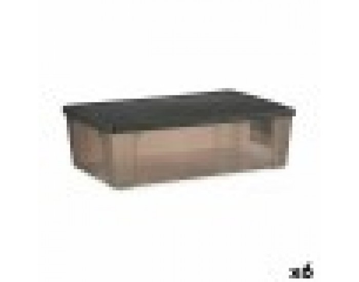 Кутия за Съхранение с Капак Stefanplast Elegance Сив Пластмаса 30 L 38,5 x 17 x 59,5 cm (6 броя)