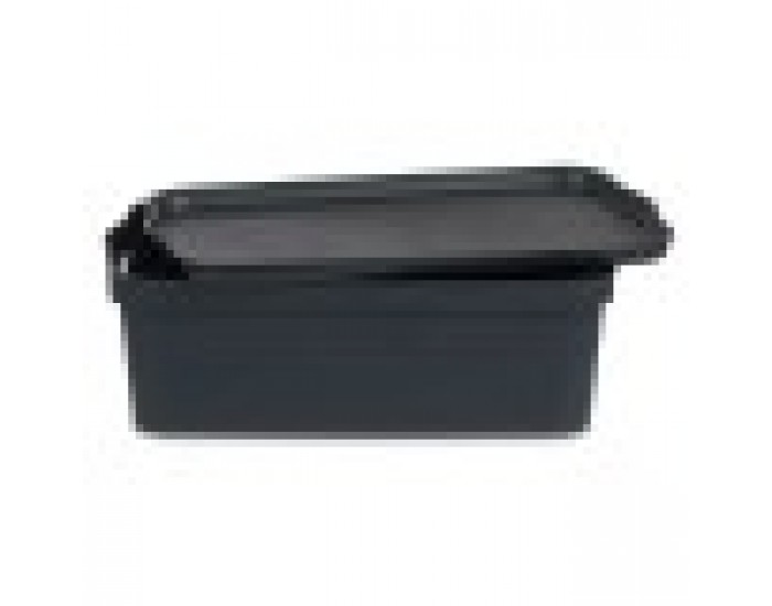 Кутия за Съхранение с Капак Антрацит Пластмаса 14 L 29,5 x 14,3 x 45 cm (12 броя)