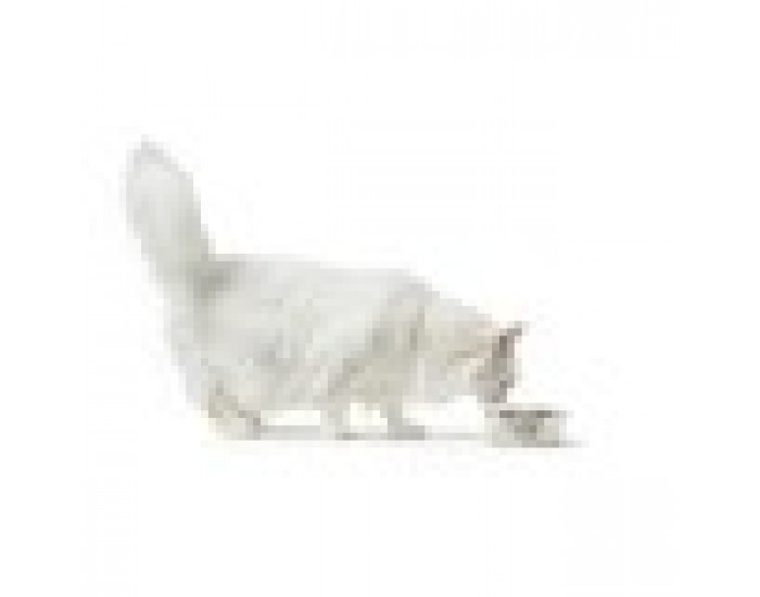 Хранилка за кучета Hunter Силикон Неръждаема стомана 1,05 L