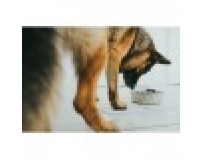 Хранилка за кучета Hunter Силикон Неръждаема стомана 1,05 L