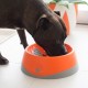 Хранилка за кучета Lickimat Oh Bowl Оранжев Хранилка за кучета Lickimat Oh Bowl Оранжев